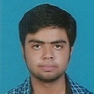 Rohit Kumar-Freelancer in Muzaffarpur,India