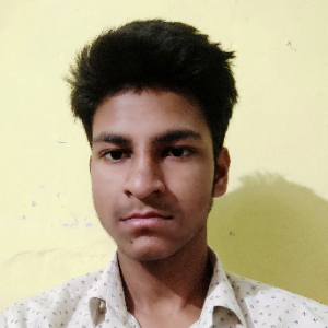 Mohd Ayyub-Freelancer in Aligarh,India