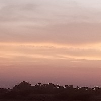 Saliha Salim-Freelancer in Ghala,Oman