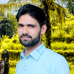 Rajab Ali-Freelancer in Sahiwal,Pakistan