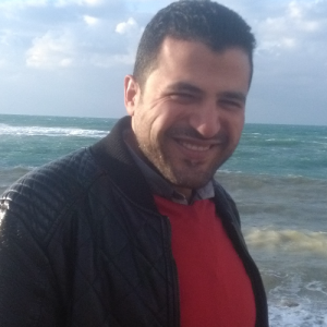 Mahmoud Hamouda-Freelancer in Tanta,Egypt