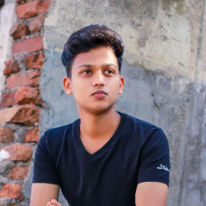 Shritej Zinjurde-Freelancer in newasa,India