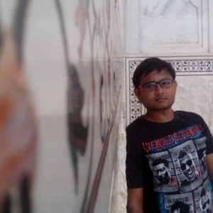 Bhagyesh Patel-Freelancer in Vadodara,India