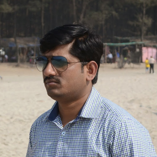 Kailas Borkar-Freelancer in ,India