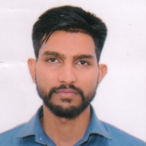 Umesh Prarthi-Freelancer in Chandigarh,India