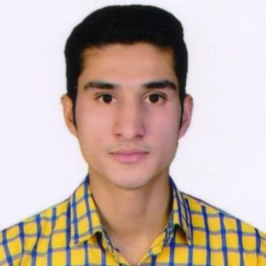 Mohammed Rafique Gouri-Freelancer in Bhilwara,India