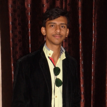 Sanjay Agrawal-Freelancer in Abu Road,India