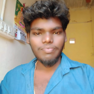 S Raja-Freelancer in Nagapattinam,India
