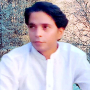 Shehroz Khan Rind-Freelancer in sahiwal,Pakistan