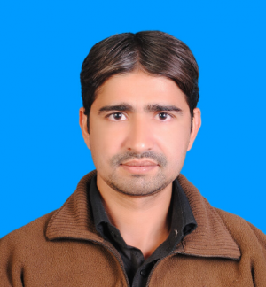 Muhammad Sulaman-Freelancer in Sialkot,Pakistan