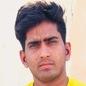 Manish Bhargav-Freelancer in Rodoo,India