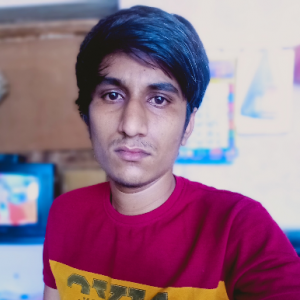 MD GOSAN-Freelancer in Bhabhar,India