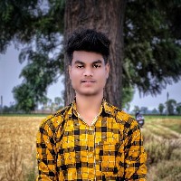 Sujit Kumar-Freelancer in Jalandhar,India