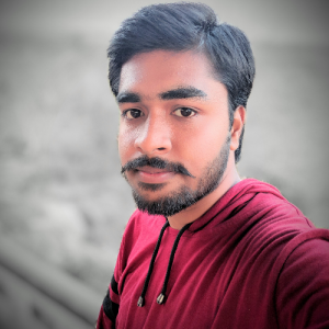 Rishabh Raj Sahay-Freelancer in Hazaribagh,India