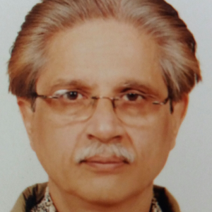Syed Rizwan-Freelancer in Lucknow,India