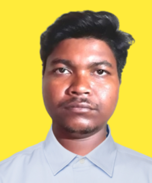 Dipak Mandi-Freelancer in Kolkata,India