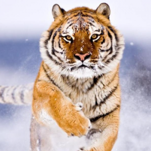 Thasila Kasun-Freelancer in Minuwangoda,Sri Lanka