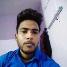 Raj Gupta-Freelancer in Sagarpur,India