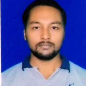 Ankit Srivastava-Freelancer in New Delhi,India