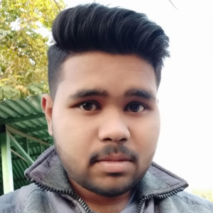 Kaustav Biswas-Freelancer in Roorkee,India
