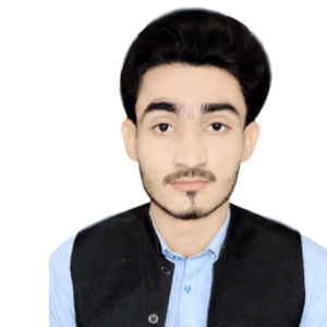 sajjad Hussain-Freelancer in Rajan pur,Pakistan
