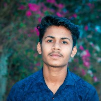 Udit Bisen-Freelancer in Chhindwara,India