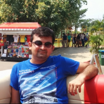 Manish Majmudar-Freelancer in New Delhi,India