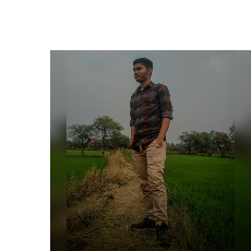Aanshit Javdekar-Freelancer in Raipur,India