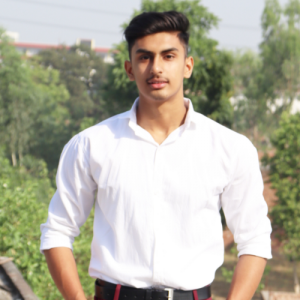 Abhay Saini-Freelancer in Roorkee,India