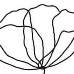 Nishtha Kulwal-Freelancer in New Delhi,India