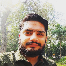 Atul Parashar-Freelancer in Delhi,India