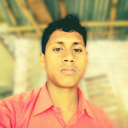 Kawsar Ali-Freelancer in satkhira,Bangladesh