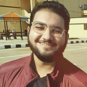 Mohammed Dorgham-Freelancer in ,Egypt