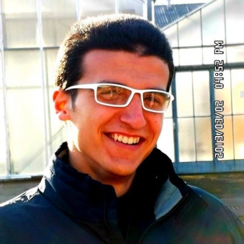 Ismail Arafa-Freelancer in Alexandria,Egypt