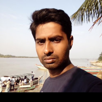 Sarajit Paul-Freelancer in Kolkata,India