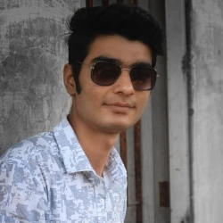 Suresh Bhanushali-Freelancer in Navsari,India