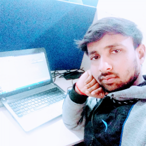 Ajit Choudhary-Freelancer in Noida,India