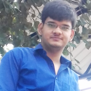 Hritik Chitkara-Freelancer in Ghaziabad,India