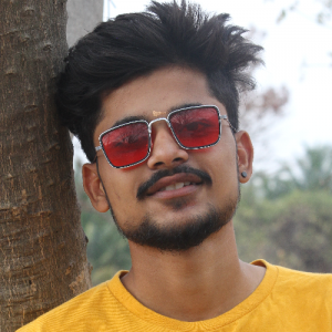 Gokul Ramesh-Freelancer in Kollengode,India