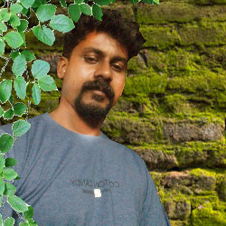 Aravind K-Freelancer in alappuzha,India