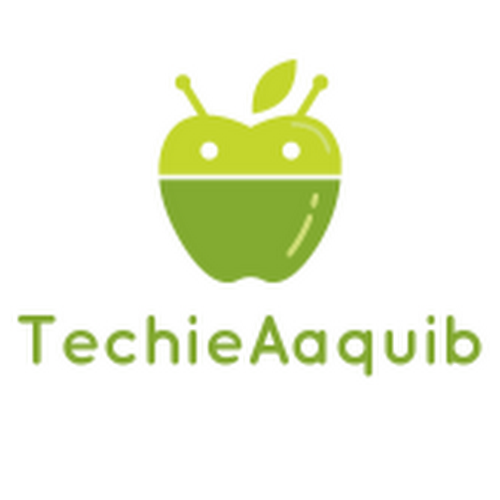 Techie Aaquib-Freelancer in ,India