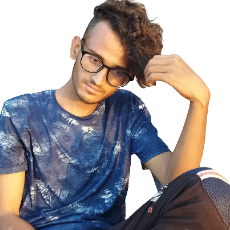 Anil Kumar-Freelancer in Sujanpur,India