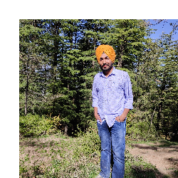 Karamjeet Singh-Freelancer in Sri Muktsar Sahib,India