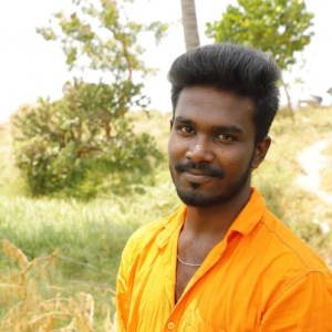 Kingslin Raja I R8079-Freelancer in Tirunelveli,India