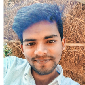 Pradeep Kumar-Freelancer in Sonbhadra,India