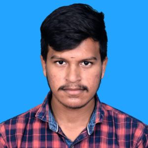 Bala Karthikeyan-Freelancer in Salem,India