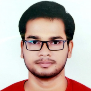 Swapnil Sirmour-Freelancer in Raipur,India