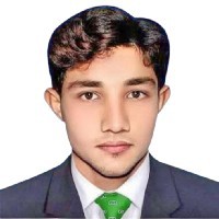 Muhammad Nasir-Freelancer in Ali pur,Pakistan