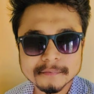 Akshay Sakharkar-Freelancer in Nagpur,India