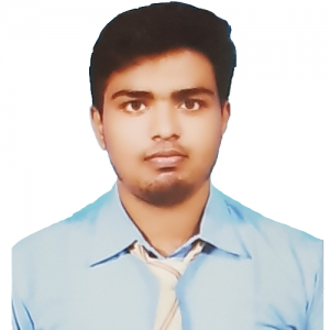 Aashish Kumar-Freelancer in Chirkunda,India